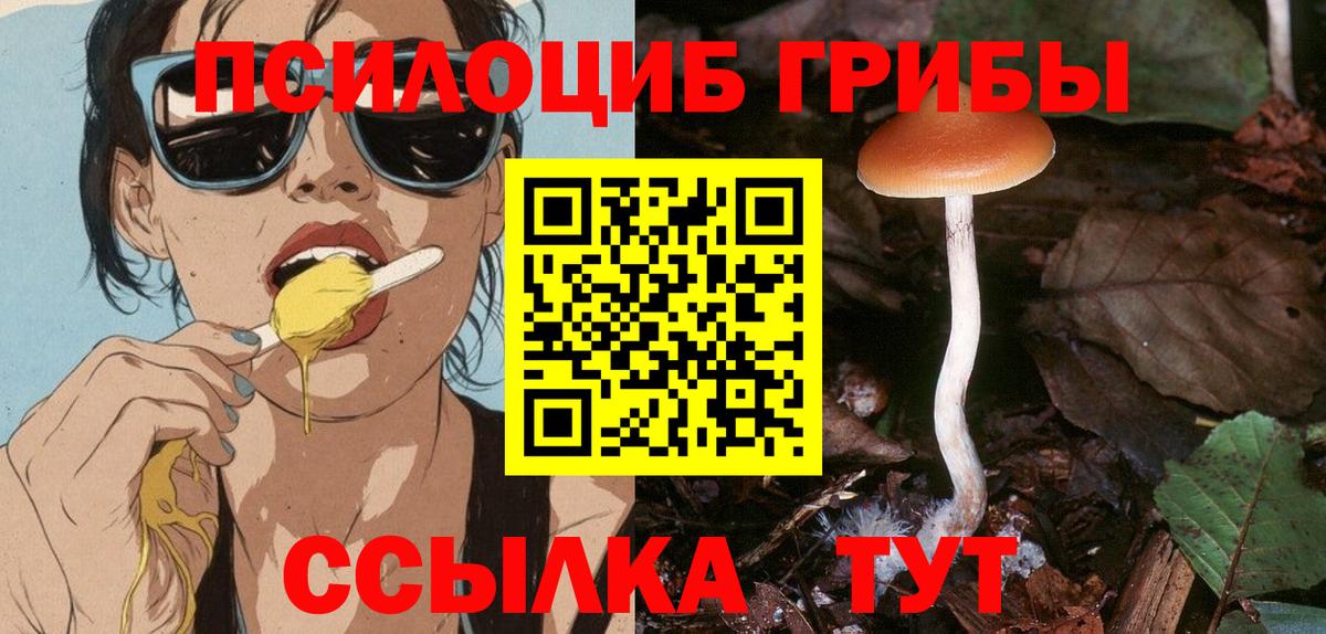 Псилоцибиновые грибы прущие грибы  Вход с VPN  купить закладку  Ухта  Псилоцибиновые грибы ЛСД 