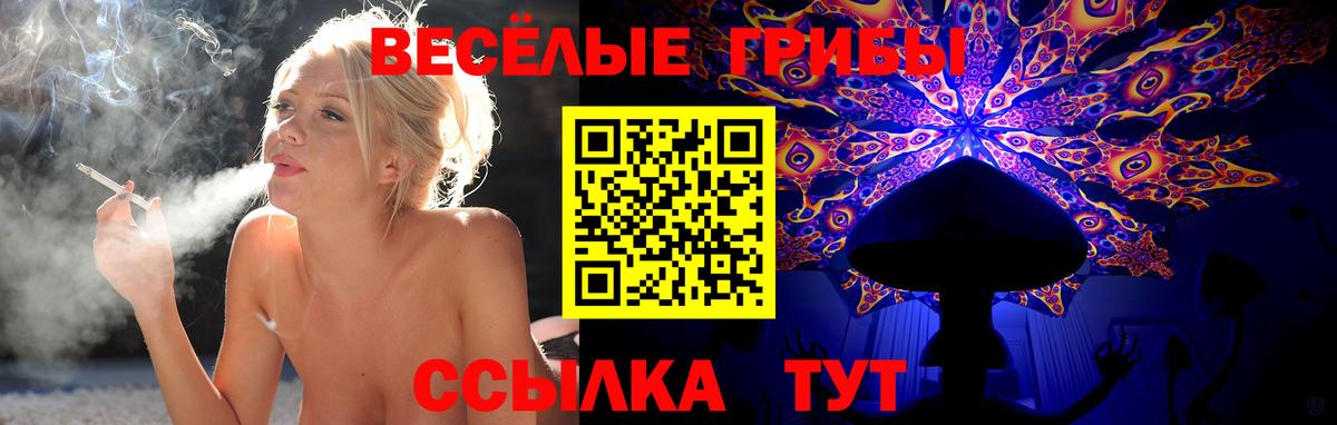 Галлюциногенные грибы Psilocybine cubensis Ухта